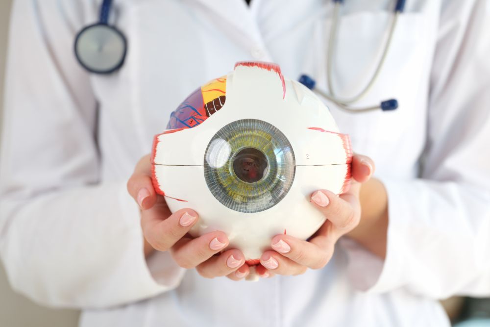 Retina Specialist vs Comprehensive Ophthalmologist