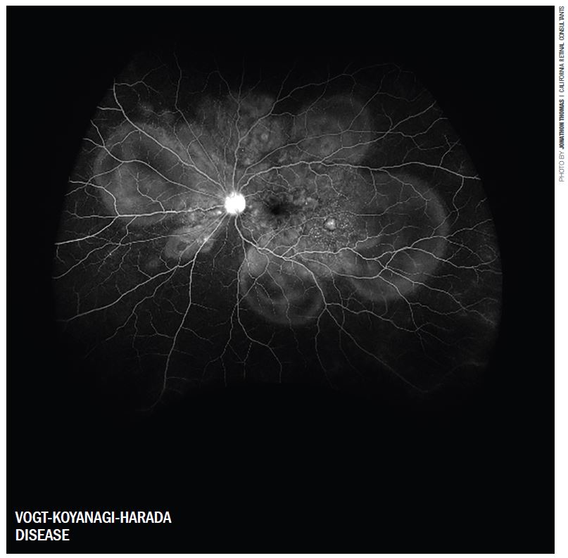 May 2022 Image of the Month