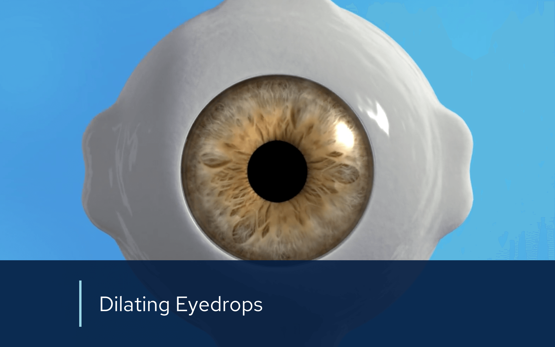 Video retina dilating eye drops